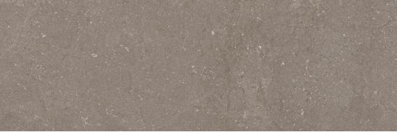 Next Taupe 40x120