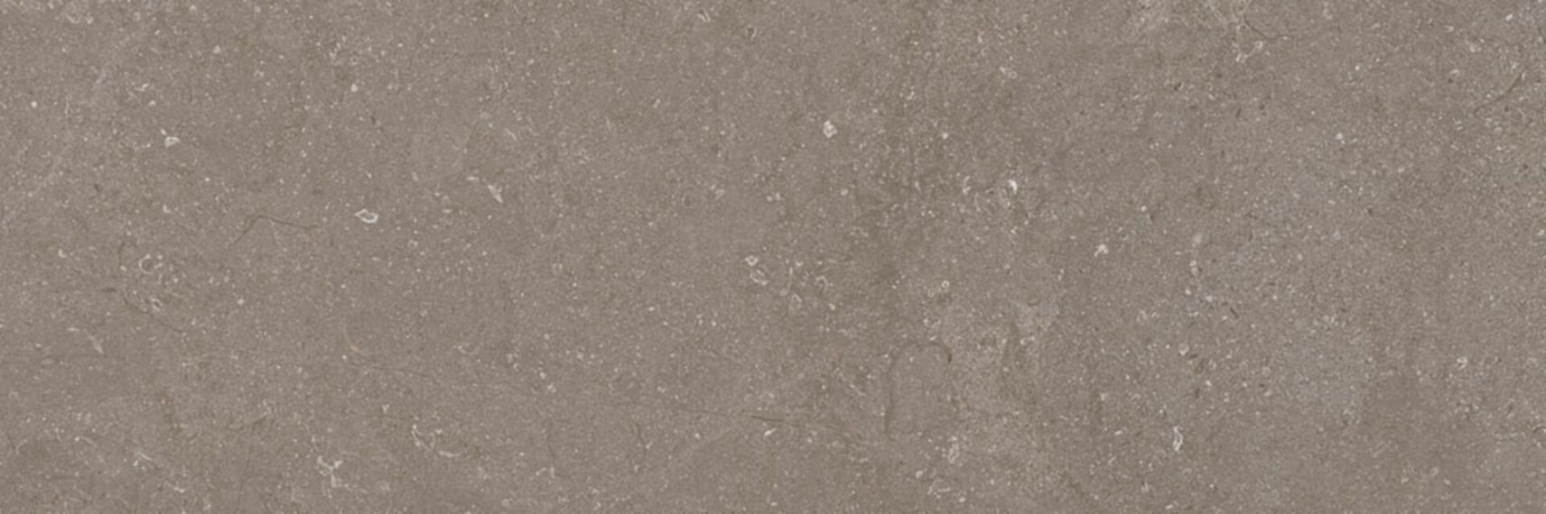 Next Taupe 40x120