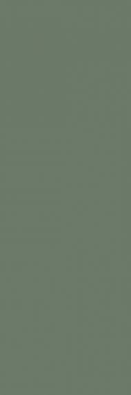 Nightwish Green Rekt 25х75