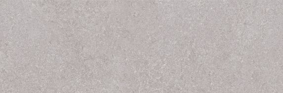 Niza Gris Rett. 25х75