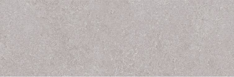 Niza Gris Rett. 25х75