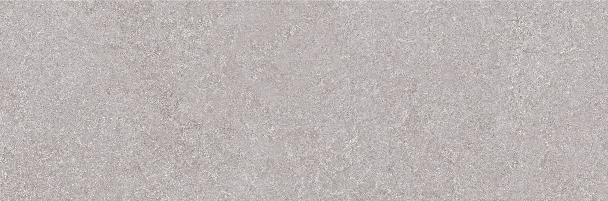 Niza Gris Rett. 25х75