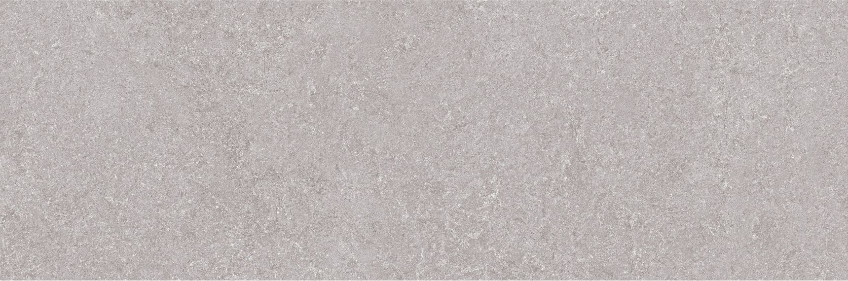 Niza Gris Rett. 25х75