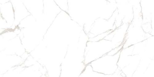 Noble Super White Satin Matt 120x60