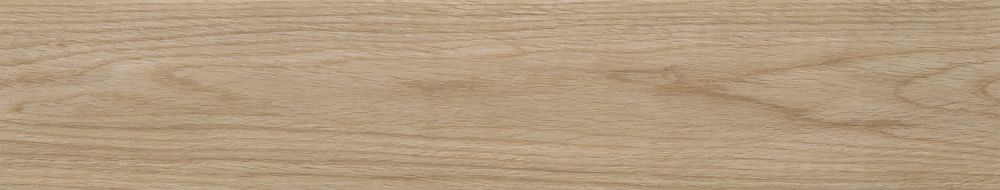 Noe Natural 23x120
