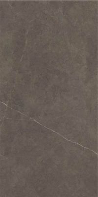 Northon Taupe Pul Rect. 59x119