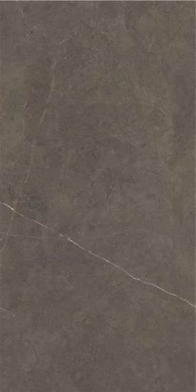 Northon Taupe Pul Rect. 59x119