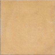 Nostalgy Honey 20x20