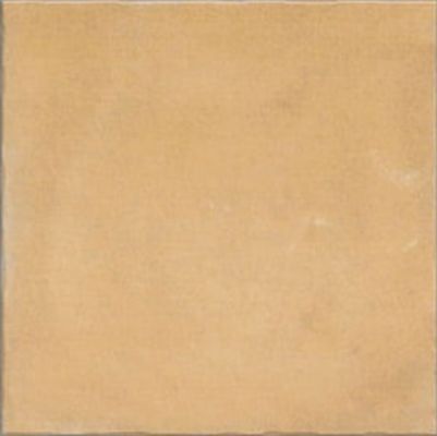 Nostalgy Honey 20x20