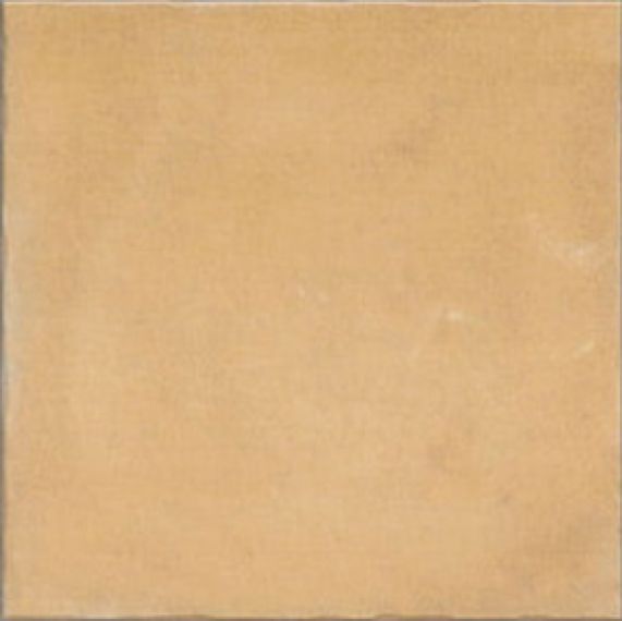 Nostalgy Honey 20x20