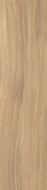 Nut beige 12.5x50