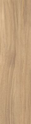 Nut beige 12.5x50