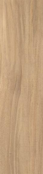 Nut beige 12.5x50