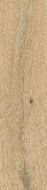 O-GWN-GGO014 Grandwood Natural бежевый 19.8x119.8