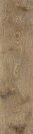 O-GWR-GGO391 Grandwood Rustic светло-коричневый 19.8x119.8