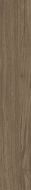 OAK CLOVES RTT 20X120