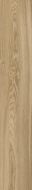 OAK GINGER RTT 20X120