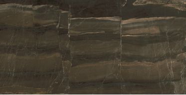 OPERA BROWN/60X120/EP 60x120