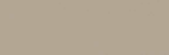 ORCHESTRA ROMANZA 20x60