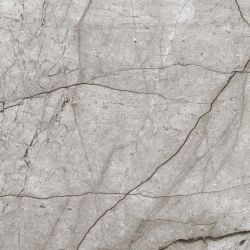 Obsidian Moss Gray Полированный 60х60