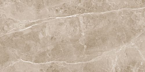 Obsidian Taupe Полированный 60x120