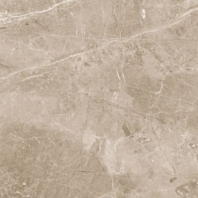 Obsidian Taupe Полированный 60x60