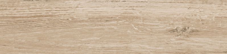 Ocala Forest 19.5x84