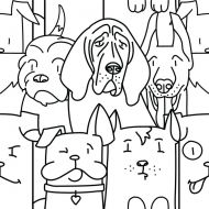 Oh My Dog White 25x25