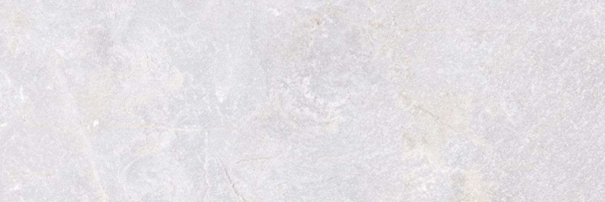 Olezia grey light 01 30х90