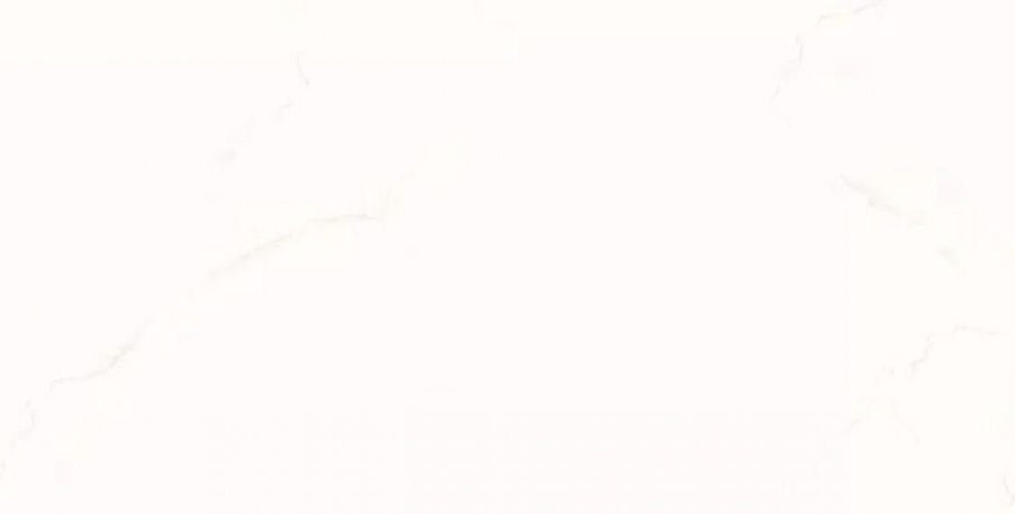 Onyx White 60x120
