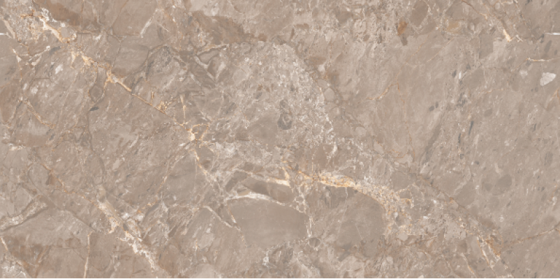 Oracle Brown Glossy 120x60