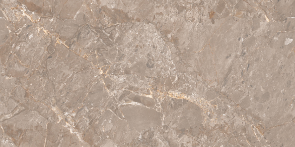 Oracle Brown Glossy 120x60