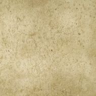 Orion Beige 33*33