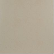 Orion Beige PG 02 45x45