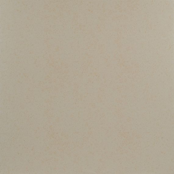 Orion Beige PG 02 45x45