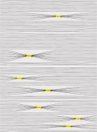 Otomi-4 Mix 25x75