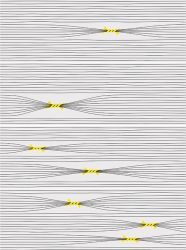 Otomi-4 Mix 25x75