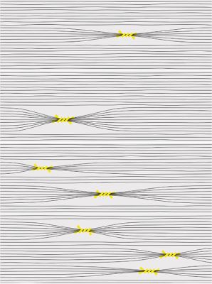 Otomi-4 Mix 25x75