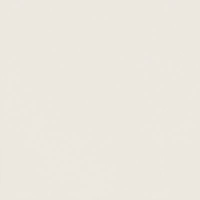 P-My Tones white MAT 59.8x59.8