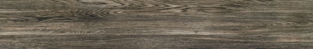 P-Terrane grey POL 119,8х19