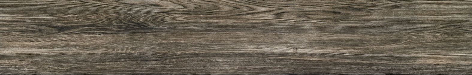 P-Terrane grey POL 119,8х19