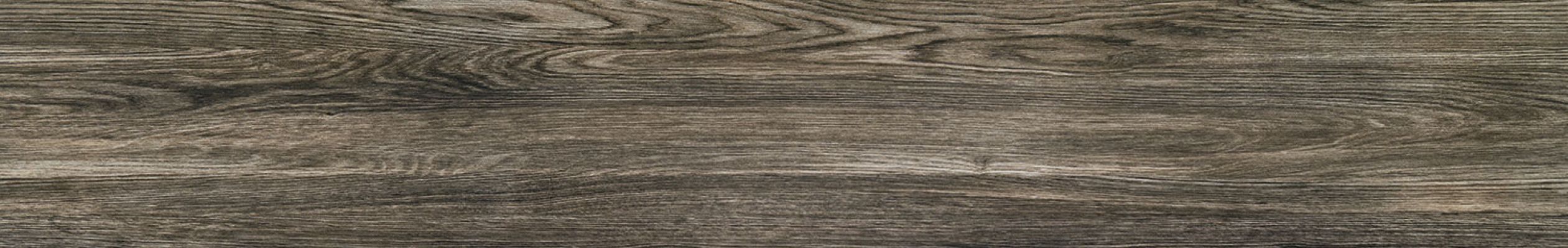 P-Terrane grey POL 119,8х19