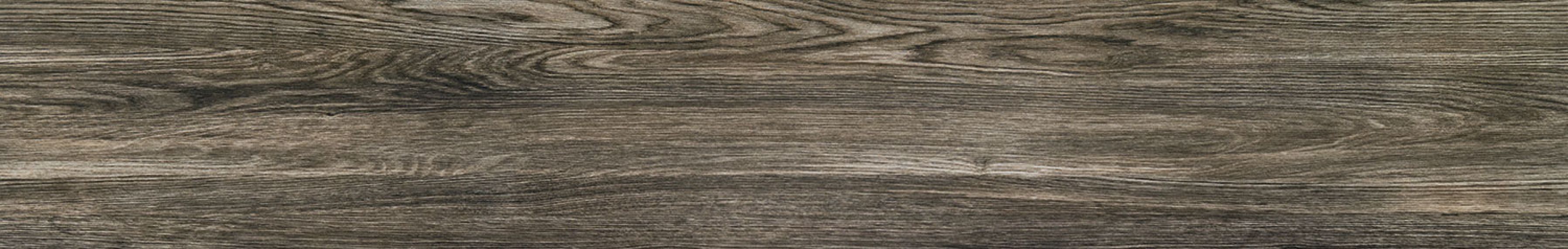 P-Terrane grey POL 119,8х19