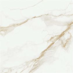 P.E. Camile gold sat. rect. 60x60