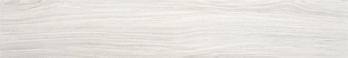 P.E. Kirova MT Encina 15x90