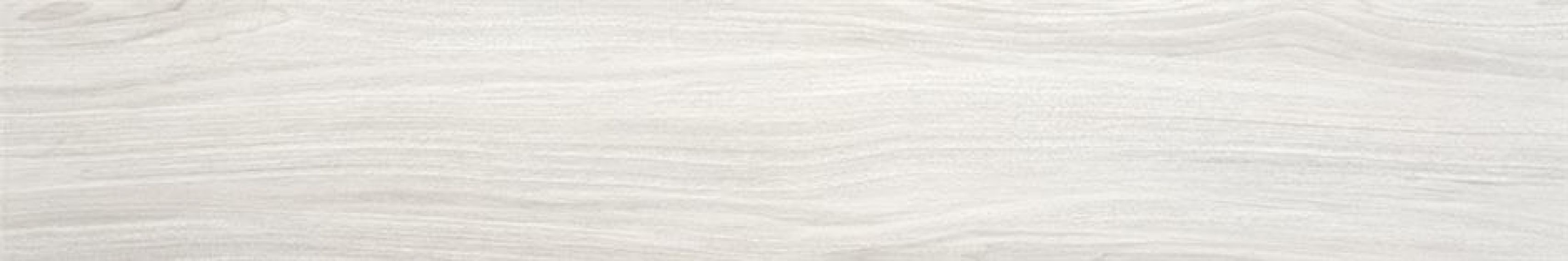 P.E. Kirova MT Encina 15x90