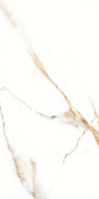 P.E. Lumiere Natural MT Rect 60x120