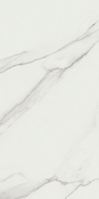 P.E. Lumiere White MT Rect 60x120