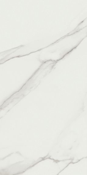 P.E. Lumiere White MT Rect 60x120