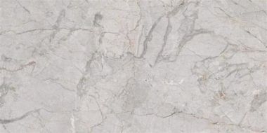 P10856 Quest Grey Polished 60x120